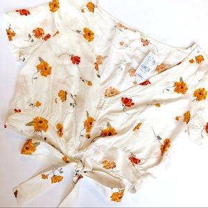 Pacsun Cropped Blouse